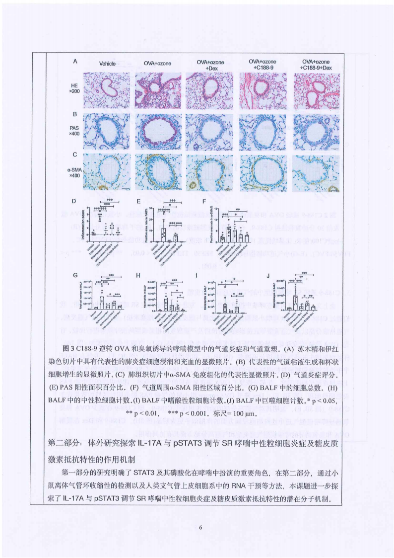 【盖章版】科研资助项目中期报告-STAT3 调控 IL-17A 在激素抵抗型哮喘气道高反应性中的作用及机制研究-上海市第一人民医院-张旻_05.png
